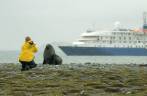 Fotografando um fur seal (leão-marinho) em Salisbury Plain, na Geórgia do Sul (foto de Jeff Orlowski)